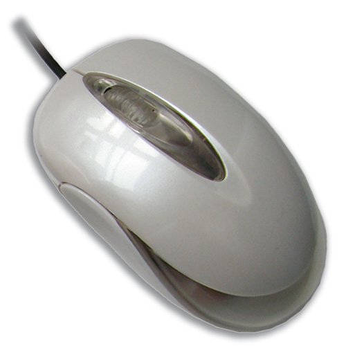 FMO16212.JPG